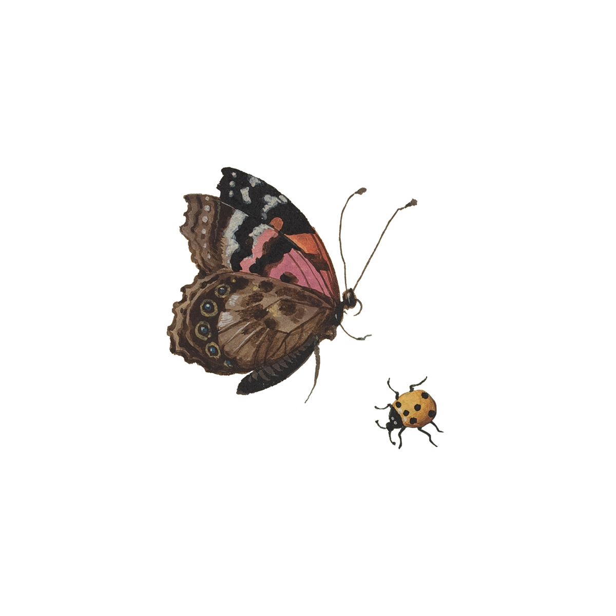 beetle-butterfly-by-national-gallery-of-art-from-tattly-temporary-tattoos