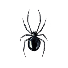 Black Widow Tattoo