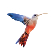 Watercolor Hummingbird Tattoo