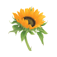 Sunflower Tattoo