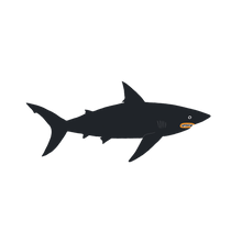 Swimming Shark Tattoo