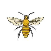Honey Bee Tattoo