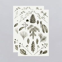 Conifers Tattoo Sheet