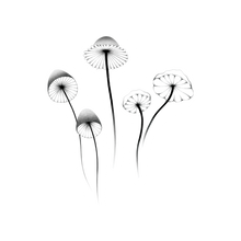 Mushrooms Tattoo
