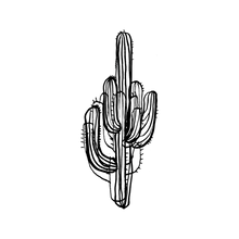 Saguaro Cactus