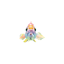 Neon Fish Face Tattoo