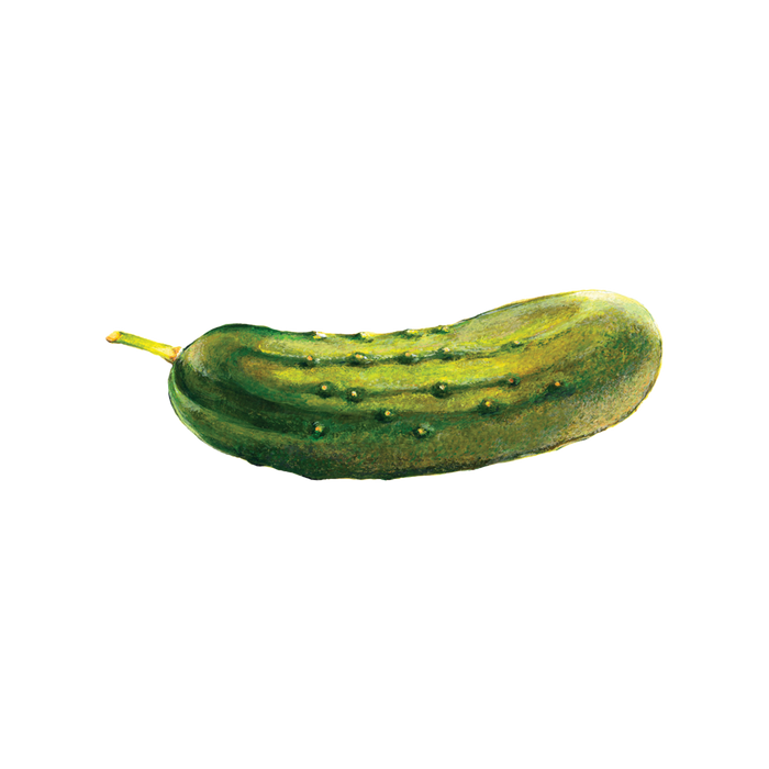 Pickle Tattoo
