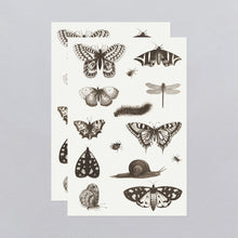 Insects Tattoo Sheet