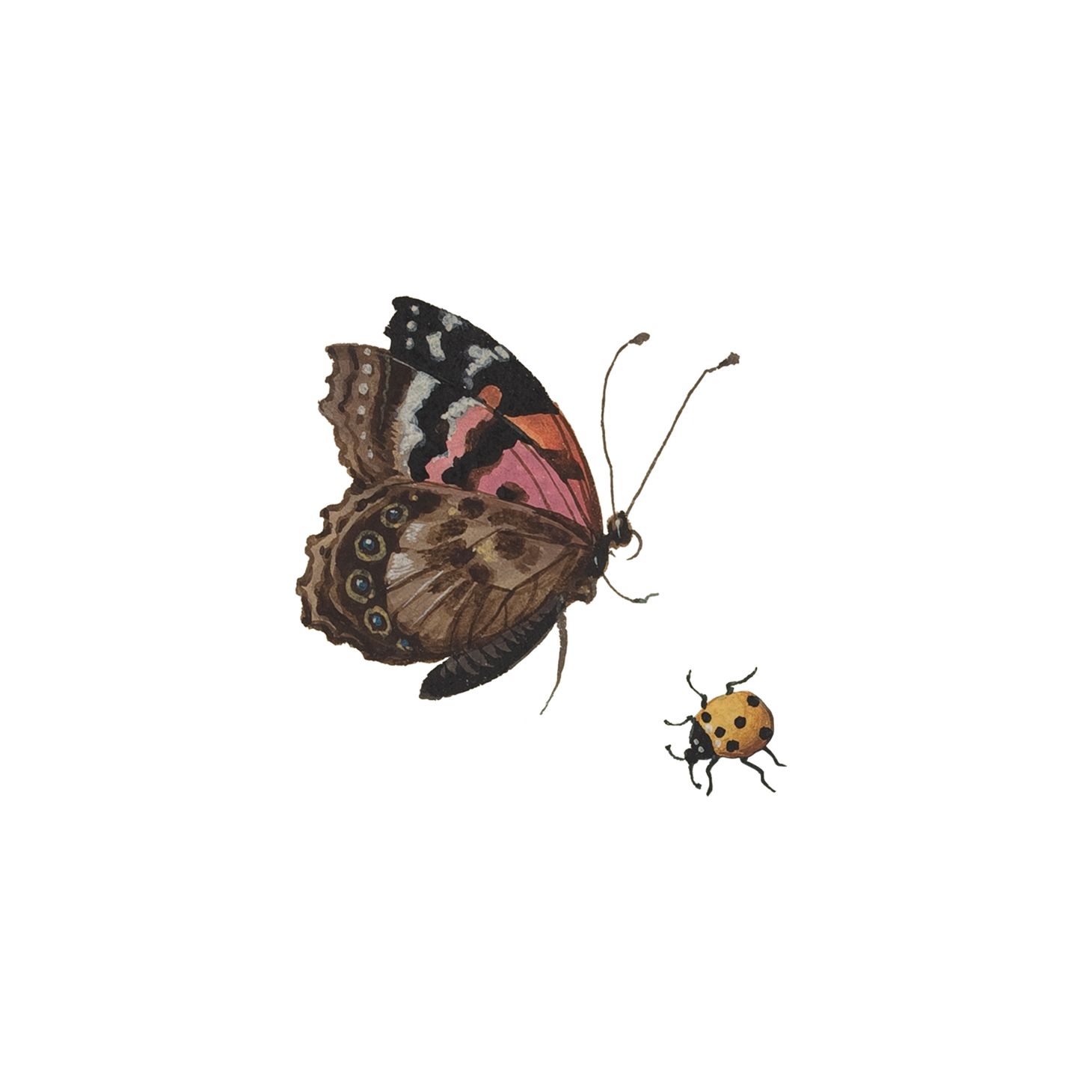 Beetle & Butterfly Tattoo