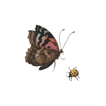 Beetle & Butterfly Tattoo