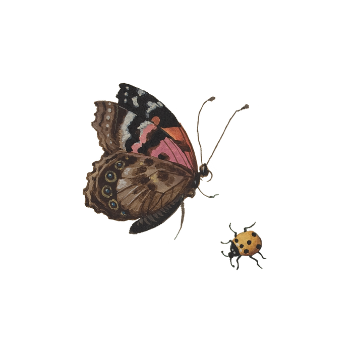 Beetle & Butterfly Tattoo