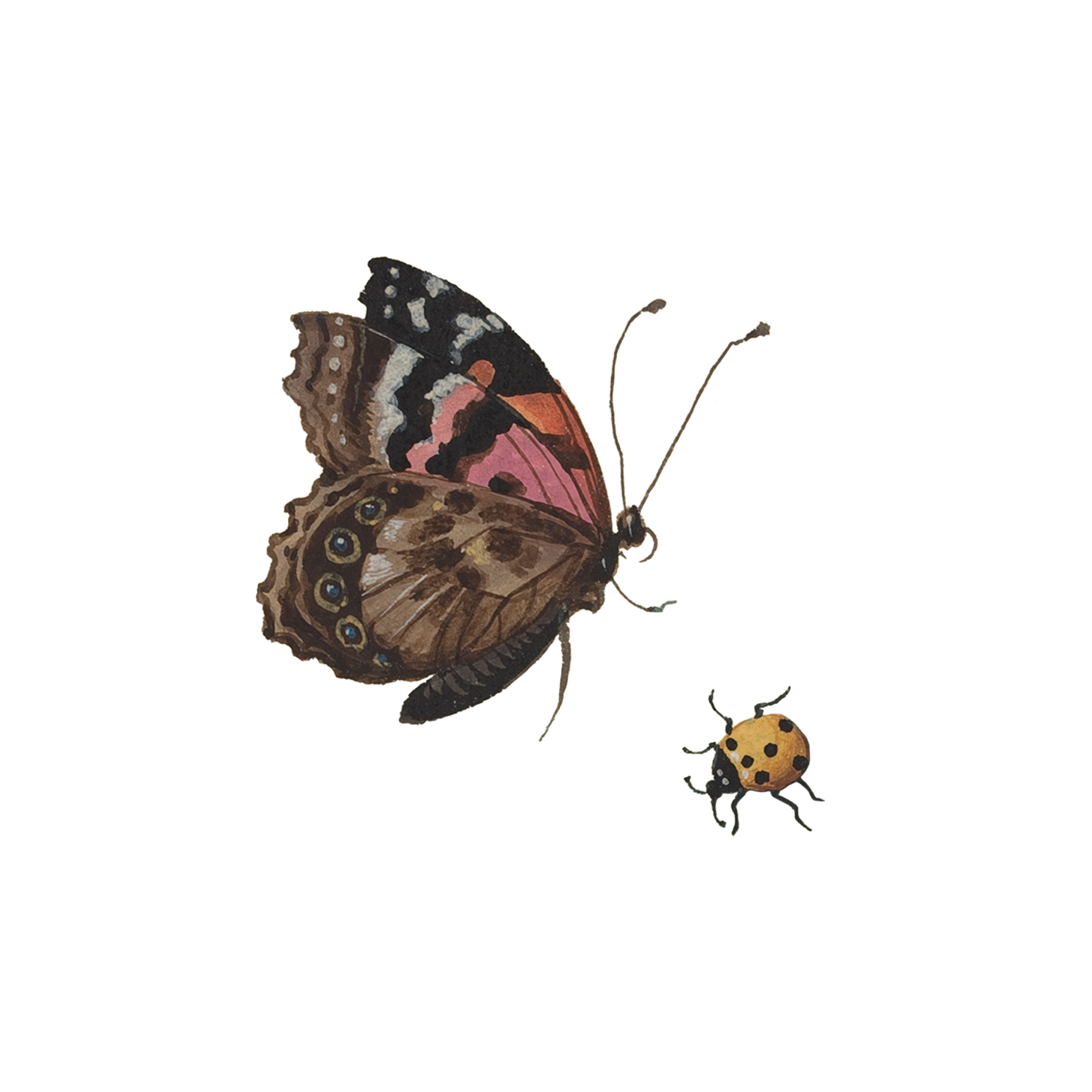 Beetle & Butterfly Tattoo