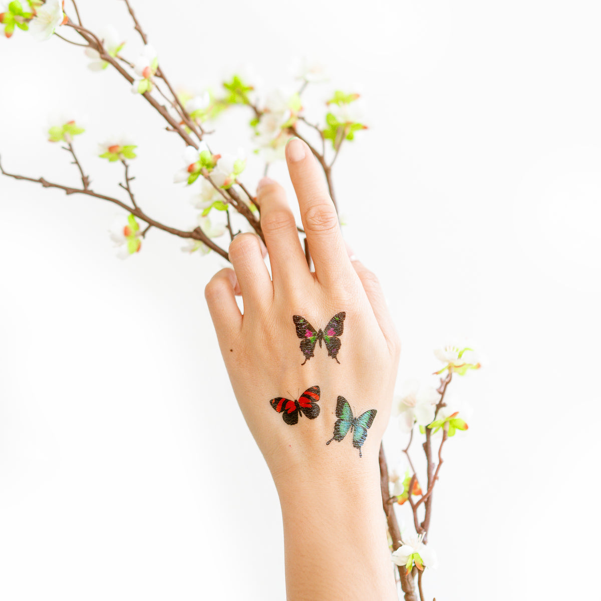 Butterfly Trio by Barloga Studios from Tattly Temporary Tattoos