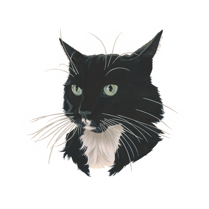 B/W Fancy Cat Tattoo