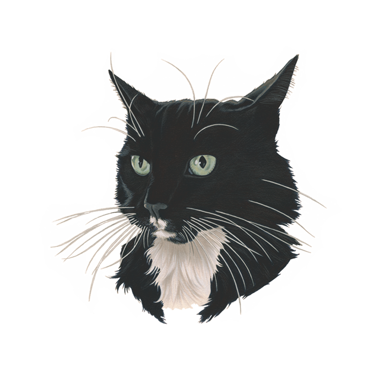 B/W Fancy Cat Tattoo
