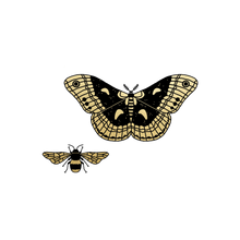Winged Duo Tattoo