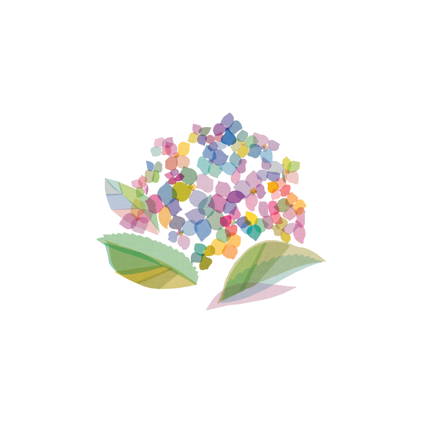 Hydrangea Tattoo