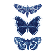 Sapphire Moths Tattoo