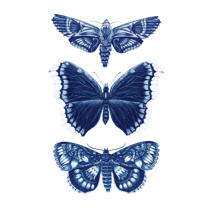 Sapphire Moths Tattoo