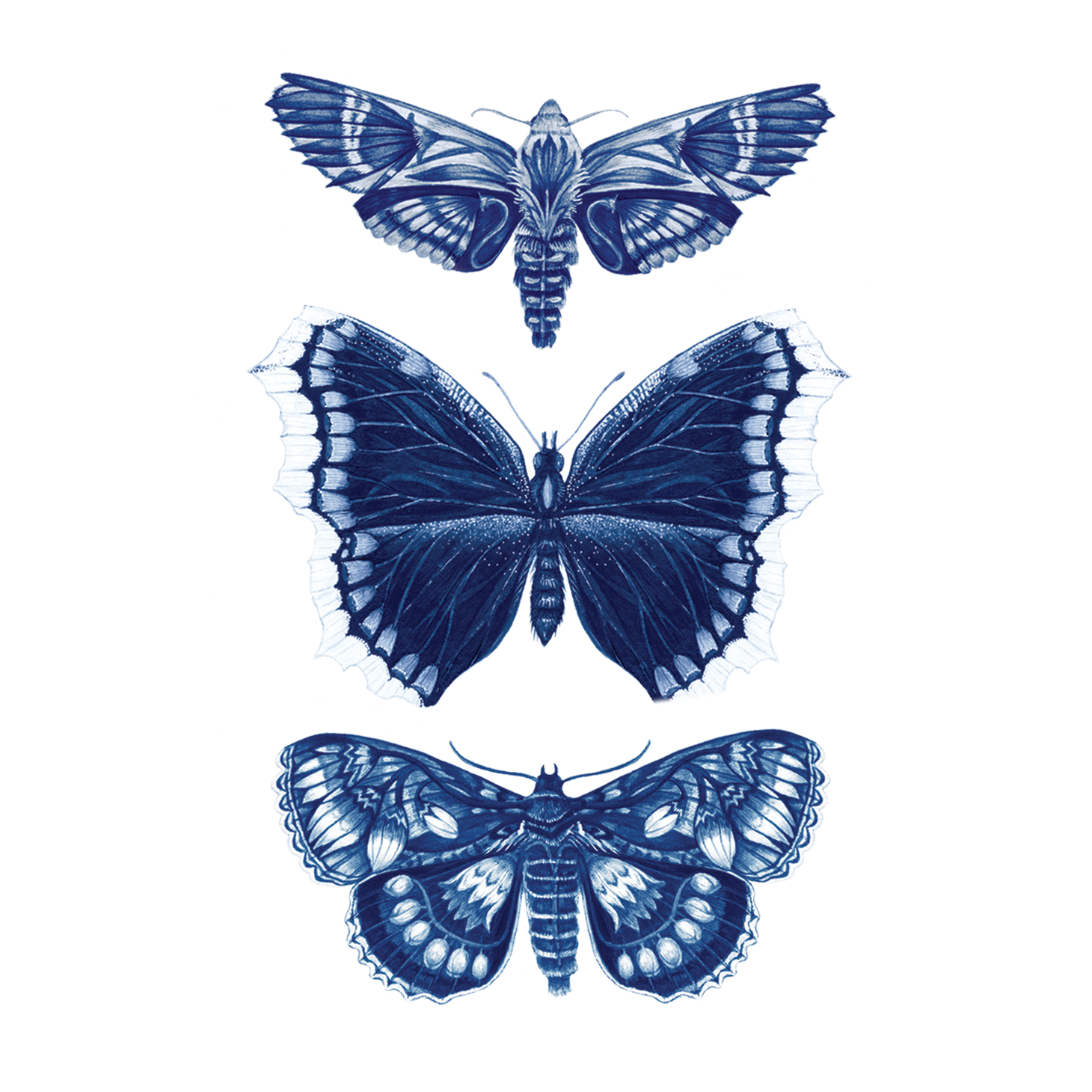 Sapphire Moths Tattoo