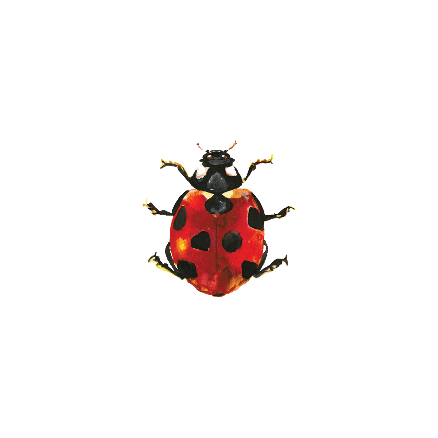 Lucky Ladybug Tattoo