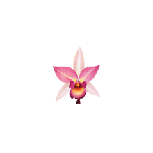 Pink Orchid Tattoo