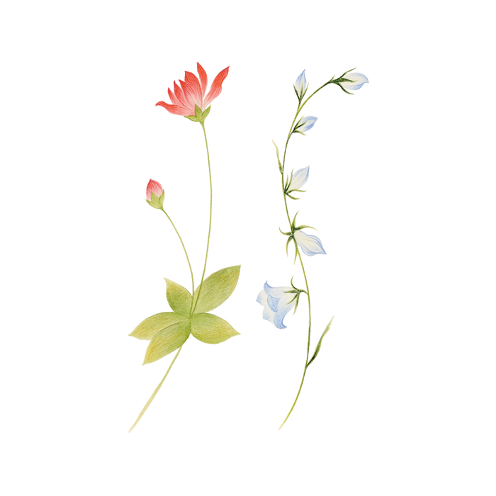 Spring Sprigs Tattoo