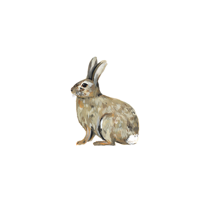 Bunny Rabbit Tattoo