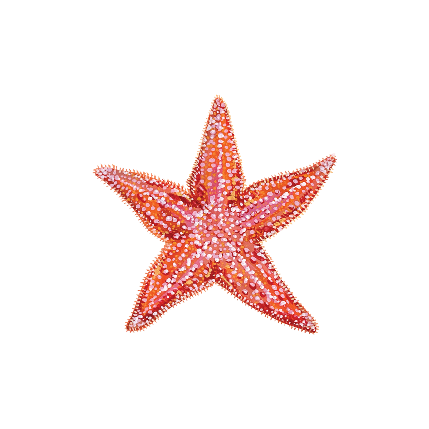 Starfish Tattoo