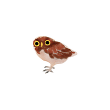 Owlet Tattoo