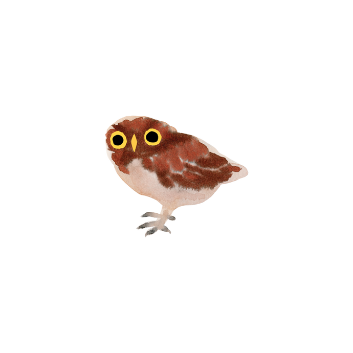Owlet Tattoo