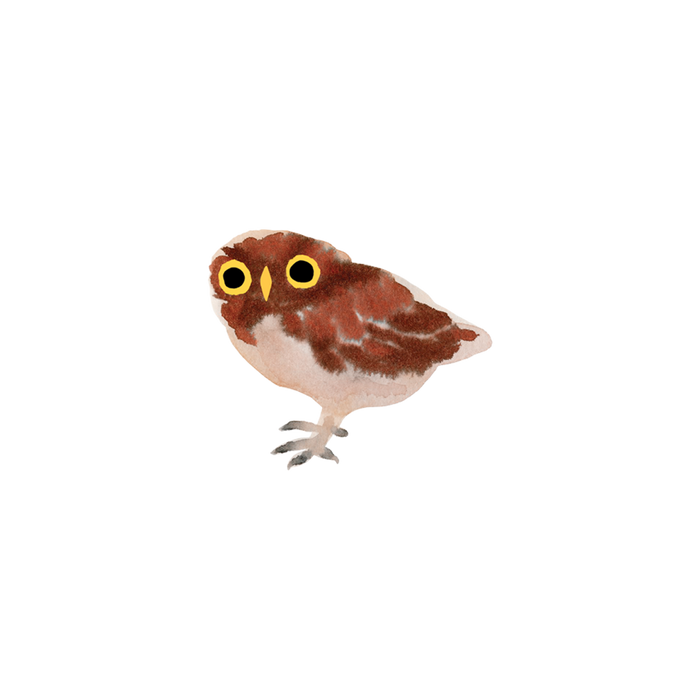 Owlet Tattoo