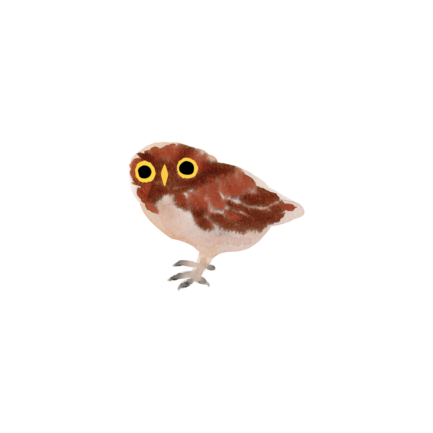 Owlet Tattoo