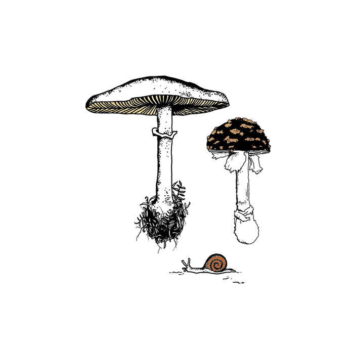 Fungi Garden Trio Tattoo