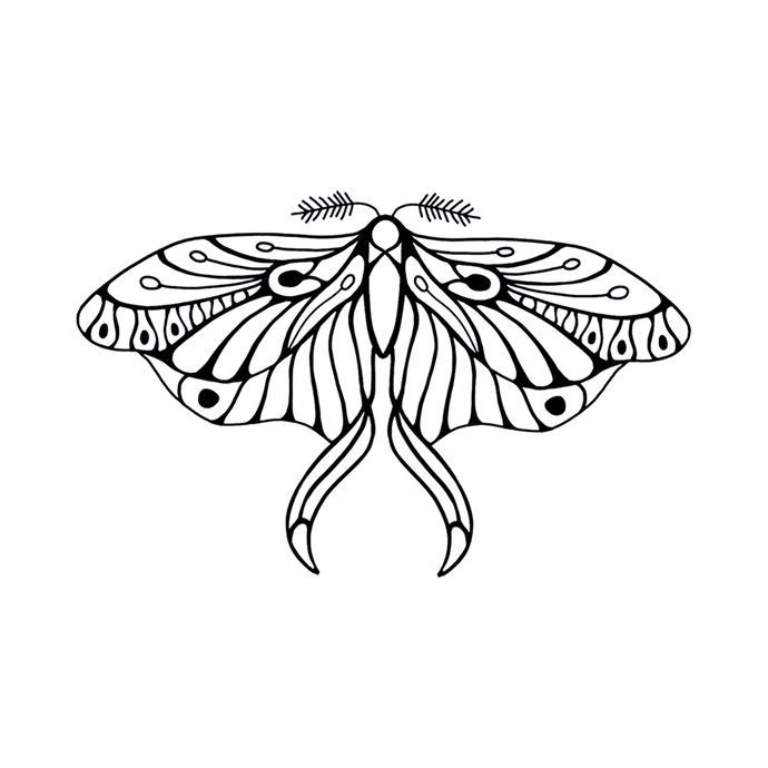 Mod Blk Butterfly Tattoo