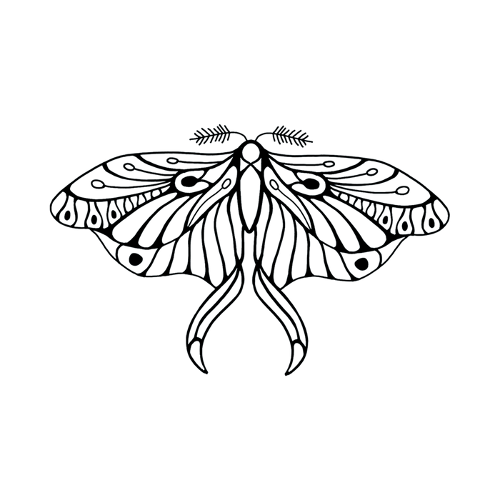 Mod Blk Butterfly Tattoo