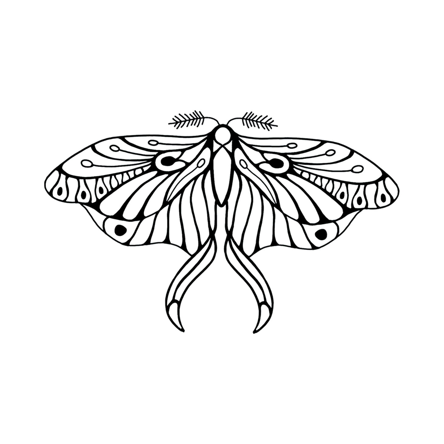 Mod Blk Butterfly Tattoo