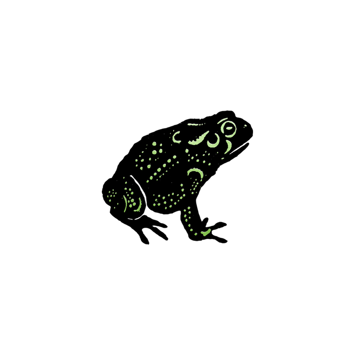 Speckled Foil Frog Tattoo