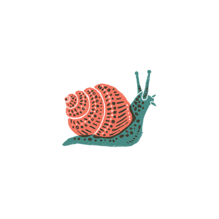 Snail Tattoo