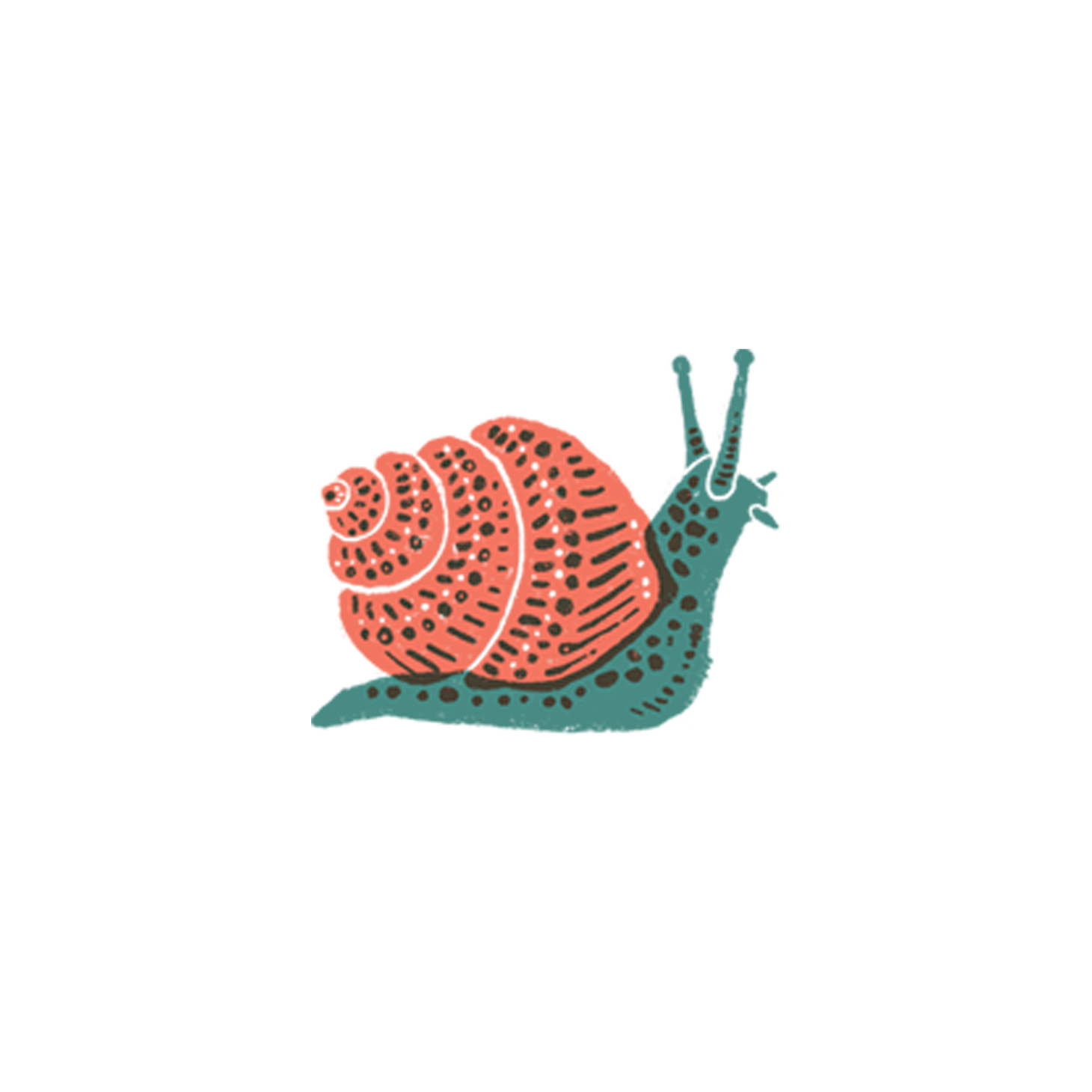 Snail Tattoo