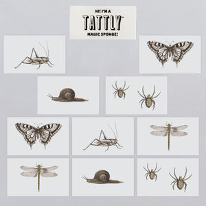 NGA Insects Tiny Tattoo Tin