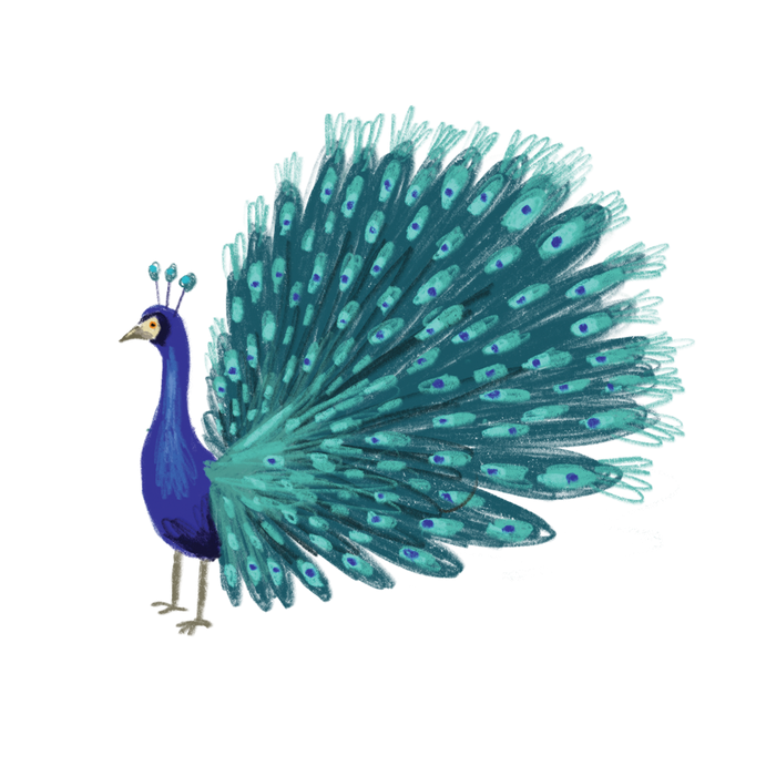 Blue Peacock Tattoo