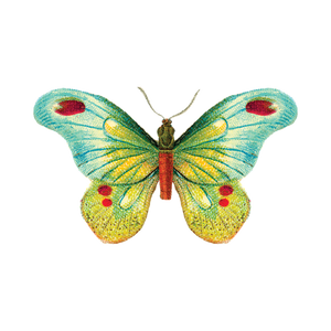 Berkley Illustration - Butterfly at