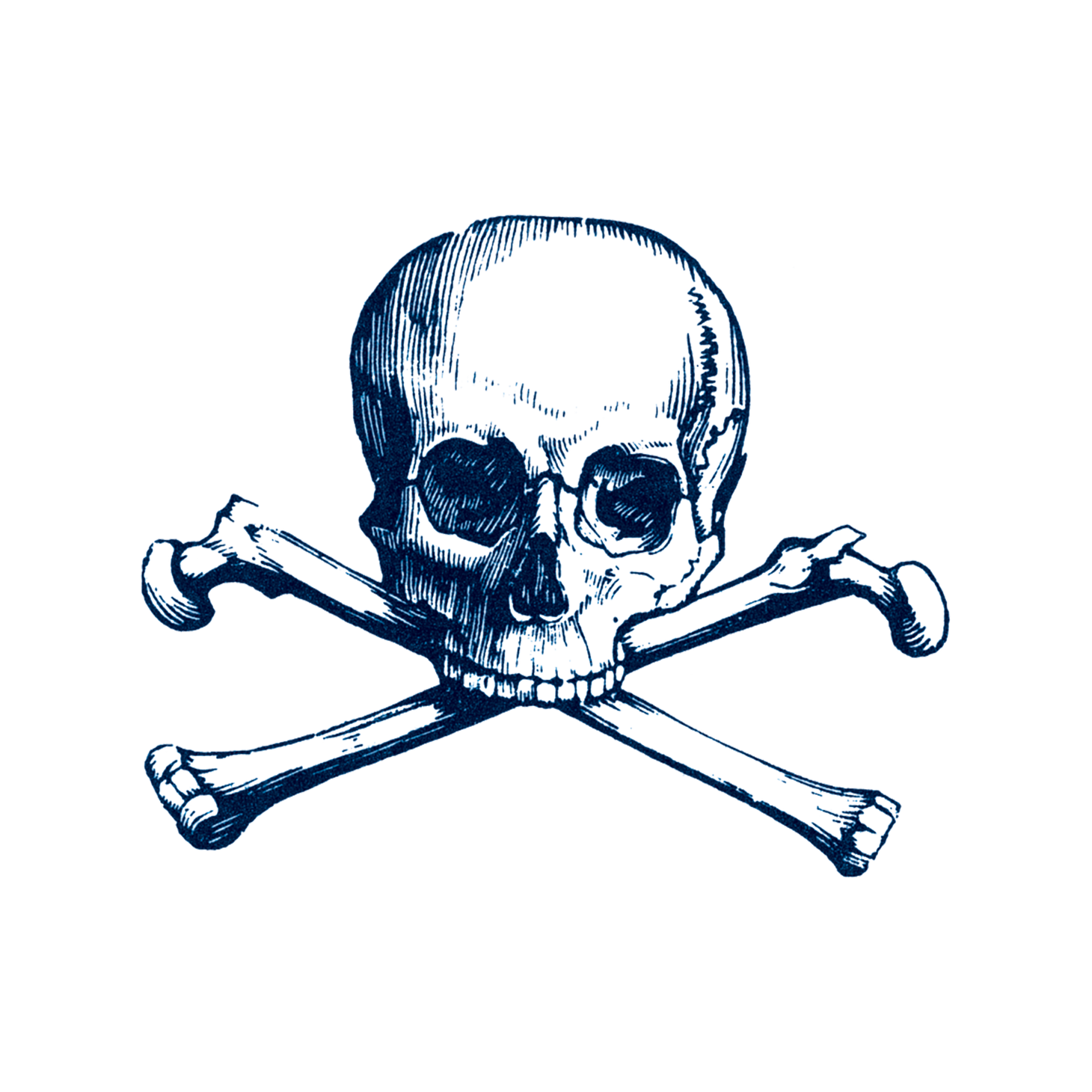 100,000 Skull tattoo logo Vector Images | Depositphotos