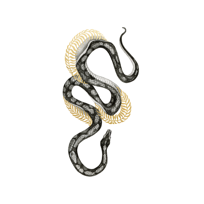 Shimmering Serpent Tattoo