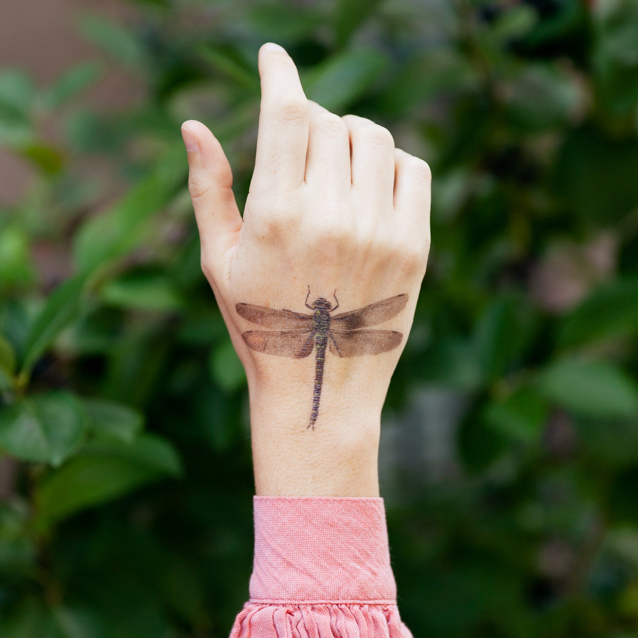 Tattoo tagged with: insect, small, dragonfly, animal, tiny, hand poked,  little, laramaju, inner forearm, medium size, nano | inked-app.com