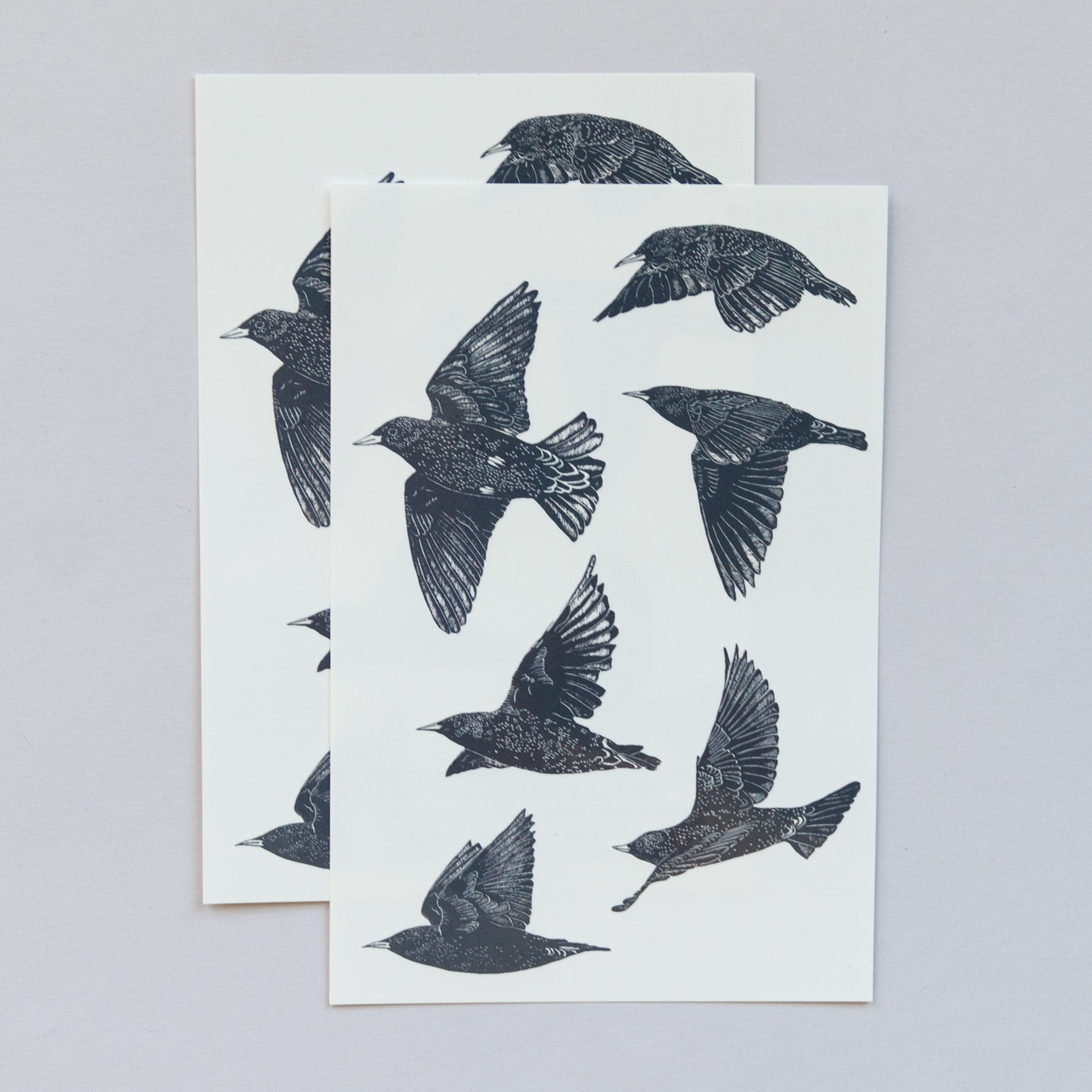 European Starlings Sheet by Nic Annette Miller from Tattly Temporary T ...