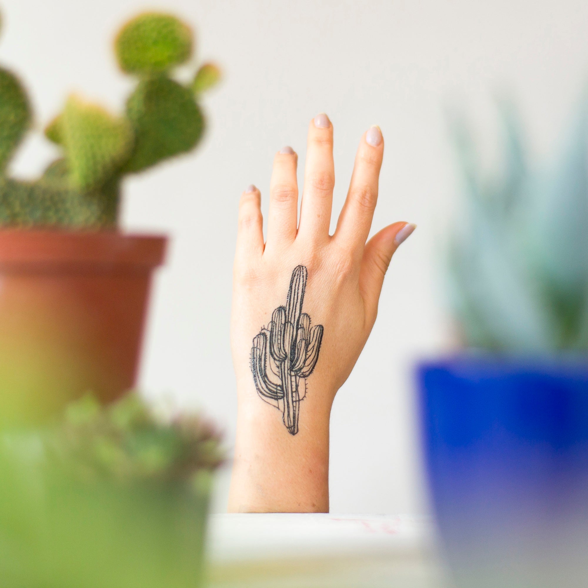 Small cactus pot temporary tattoo, get it here ▻
