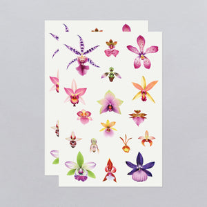 Orchid Tattoo Sheet