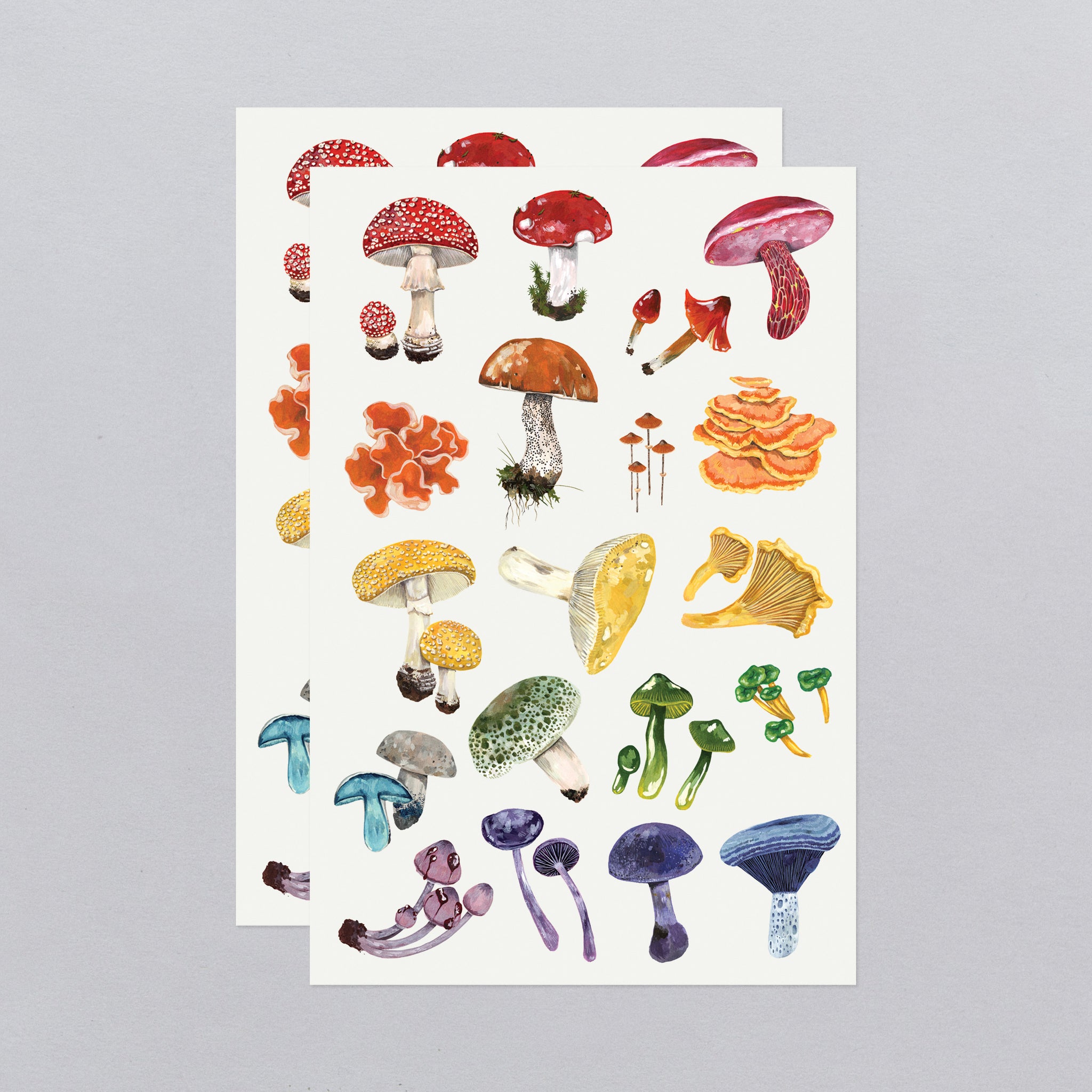 Colorful Mushrooms Tattoo Sheet – Tattly Temporary Tattoos & Stickers